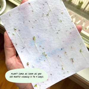 Pflanzbare Grusskarten SIMPLE THANK YOU - Cute Root
