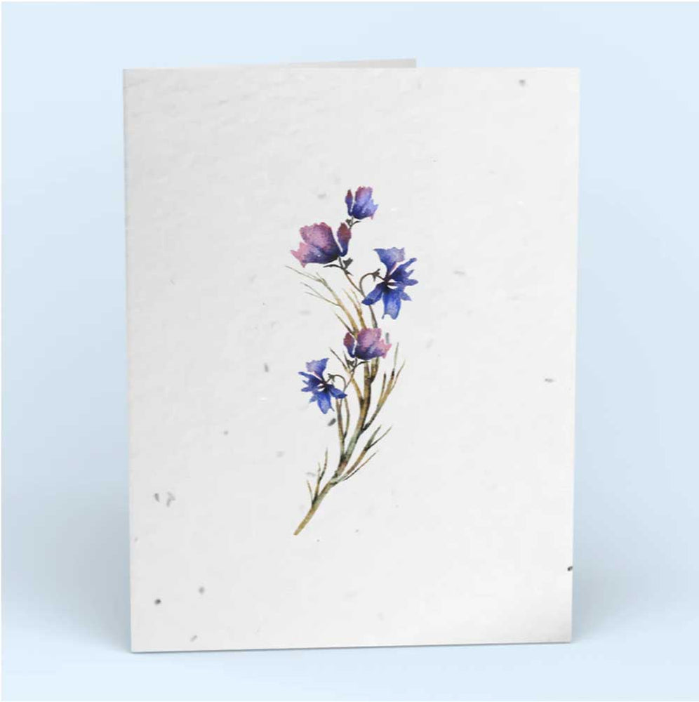 Pflanzbare Grusskarten FLOWER - Cute Root